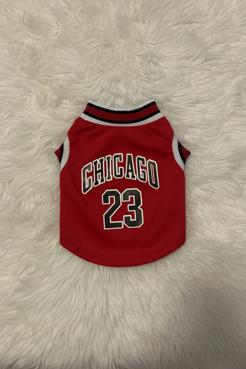 Red dog jersey with 'Chicago' and number '23' on a white fur background
